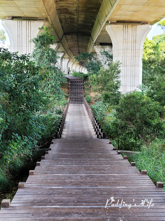 沙鹿休閒景觀步道-橋下木棧階梯