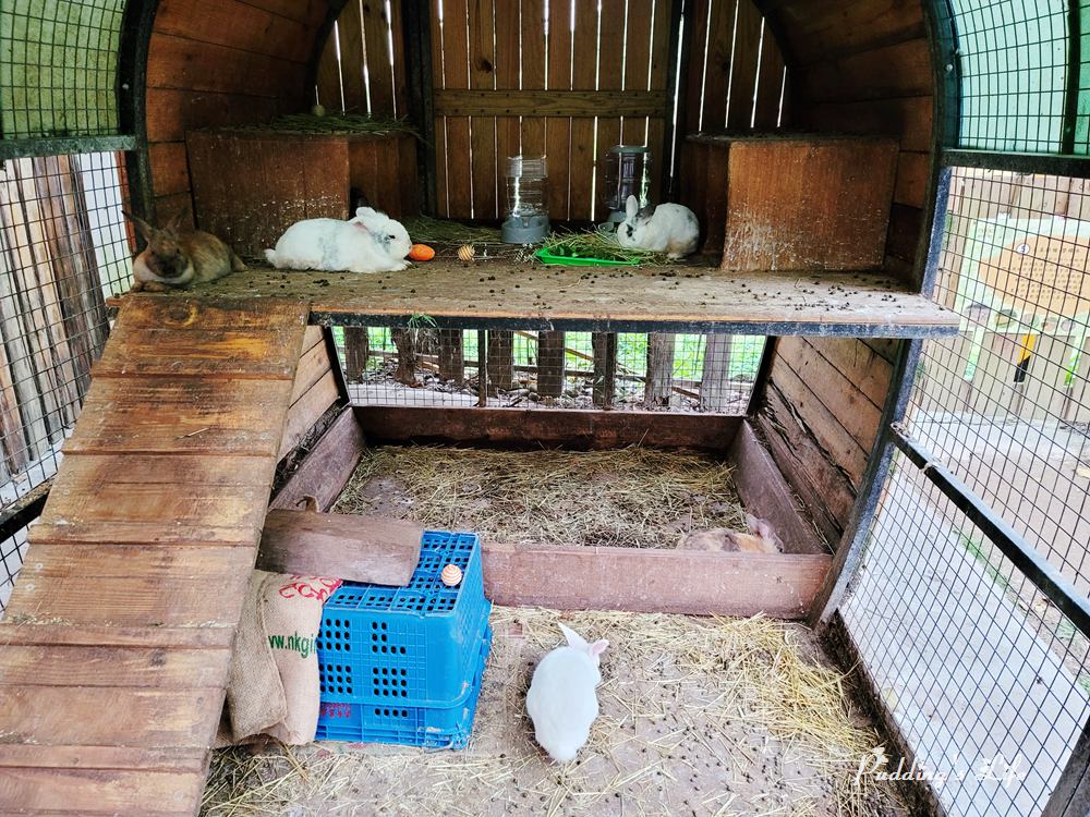 好時節農休閒農場-肥肥兔的家
