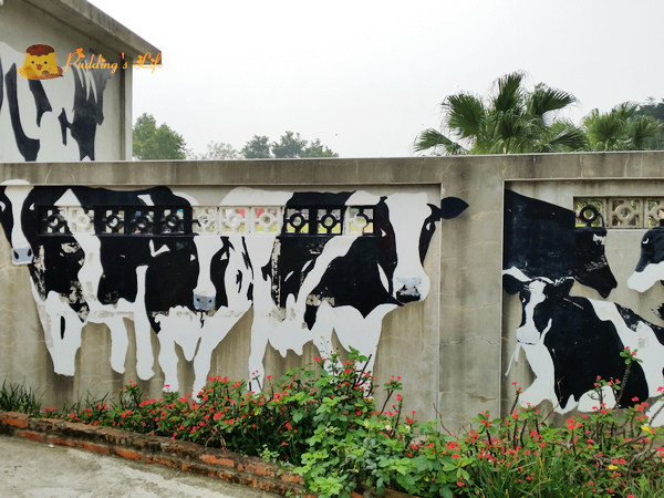 【苗栗旅遊】竹南-餵小牛喝ㄋㄟ親子同遊景點《四方鮮乳牧場》烤肉/露營/大草皮/鮮奶
