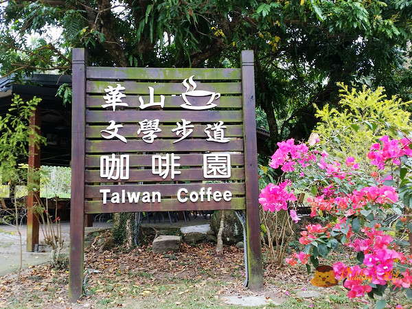 【遊記-雲林】古坑頂級台灣咖啡豆《華山文學步道咖啡園》自家生產/手工沖泡